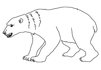 bear.gif