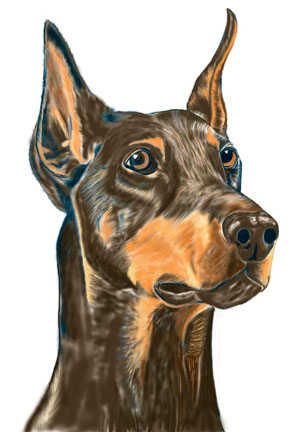 Doberman.jpg