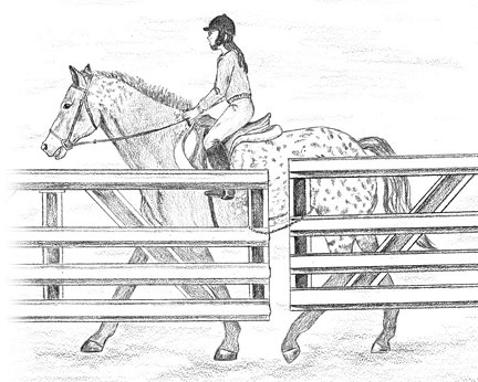 girl_horse.jpg