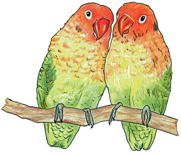 lovebirds.jpg
