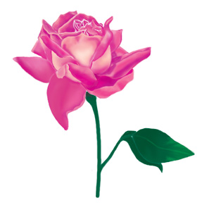 Rose.jpg
