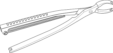 sp39.jpg